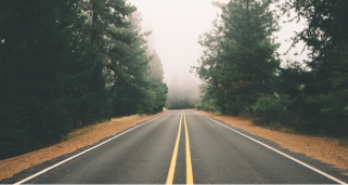 Rural road with trees
